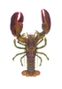 Flick Ford - World Record Lobster Masterwork Canvas Edition