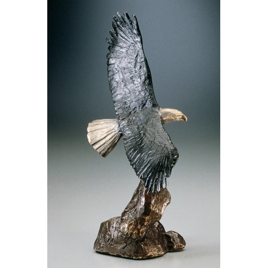 Mark Hopkins - Bald Eagle