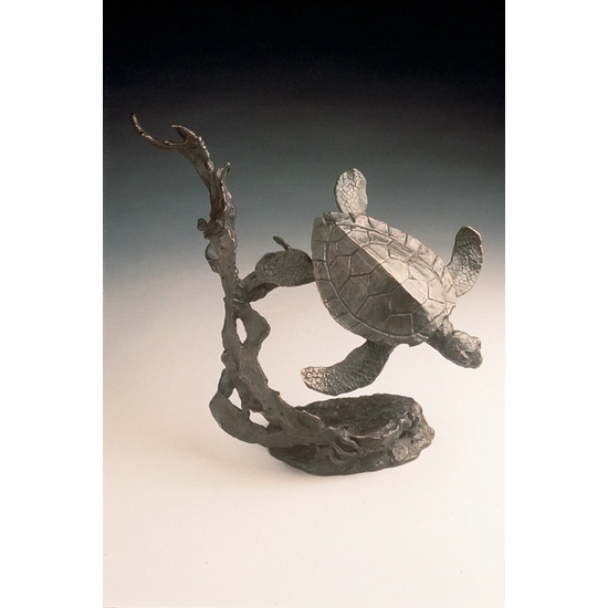 Mark Hopkins - Sea Turtle