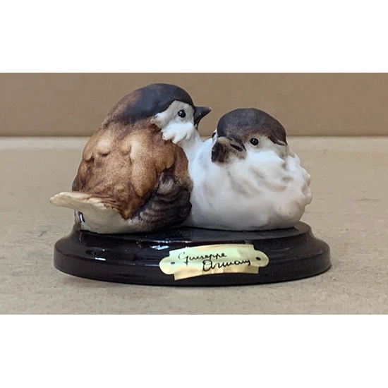 Giuseppe Armani - SPARROWS