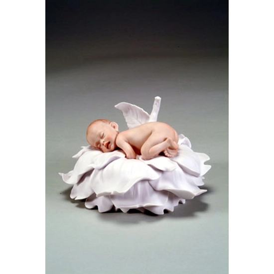 Giuseppe Armani - Rose Baby
