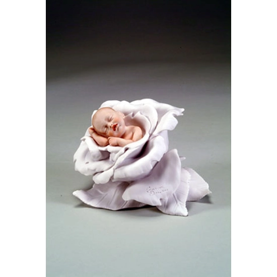 Giuseppe Armani - Little Rose