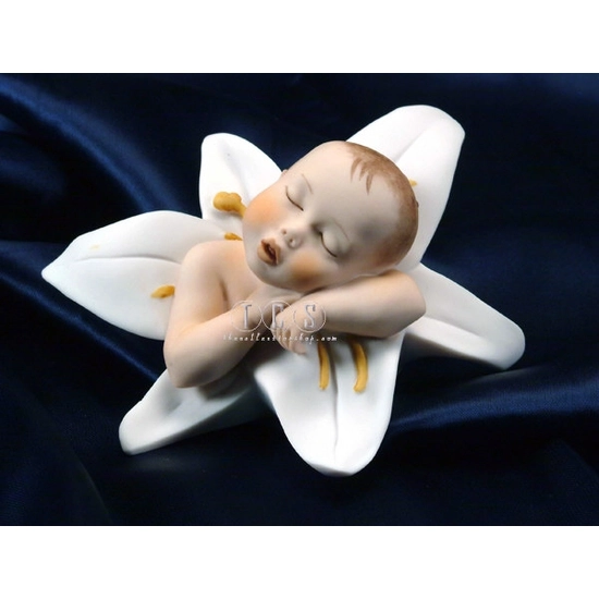 Giuseppe Armani - Lily Baby