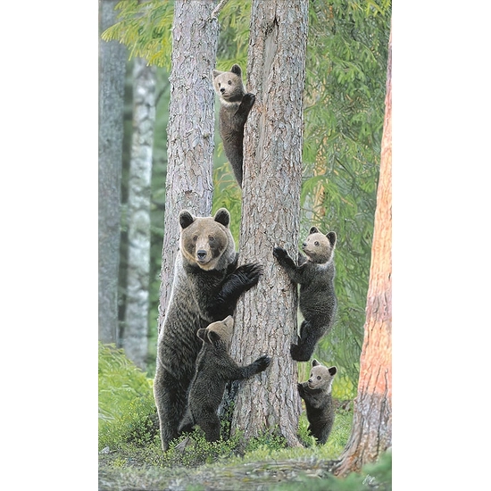 John Bye - Tree Huggers
