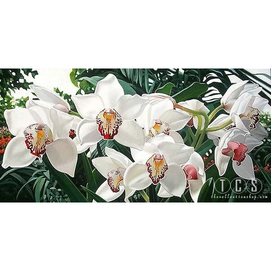 Brian Davis - Cymbidiums In Love