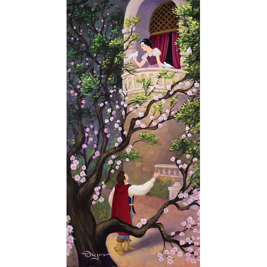 Tim Rogerson - Where Art Thou Snow White?