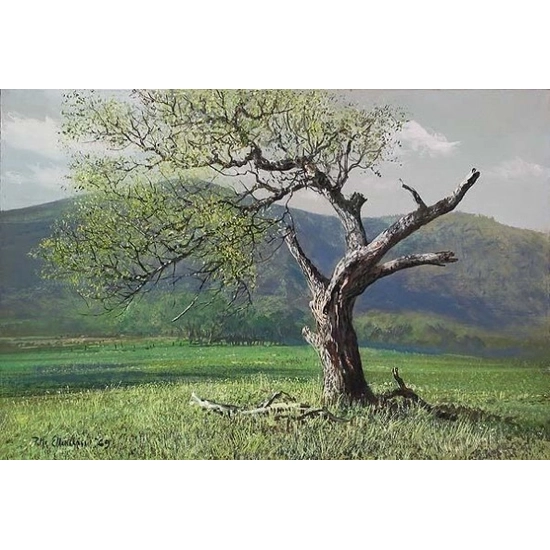 Peter Ellenshaw - Lone Oak