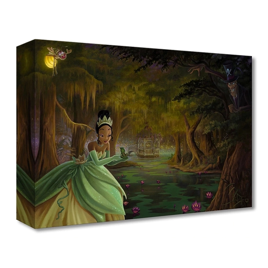 Jared Franco - Tiana's Enchantment From The Princess and the Frog