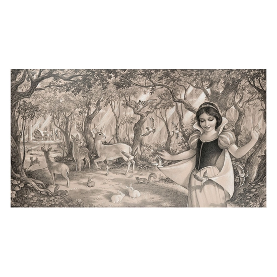 Edson Campos - Woodland Princess From Sleeping Beauty