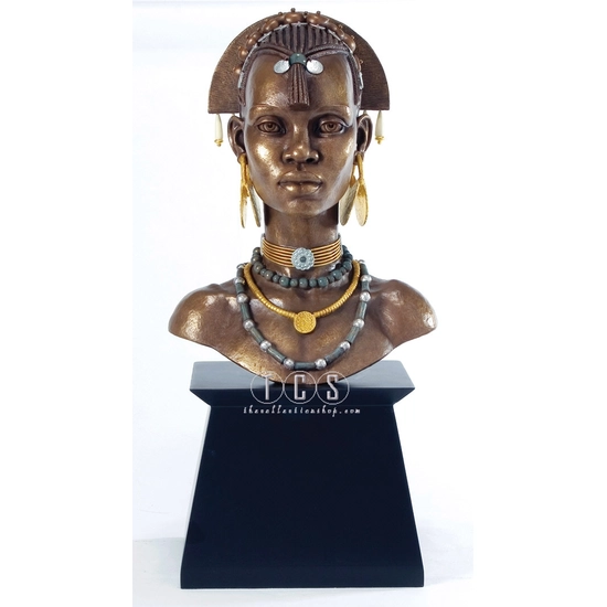 Ebony Visions The African Bride