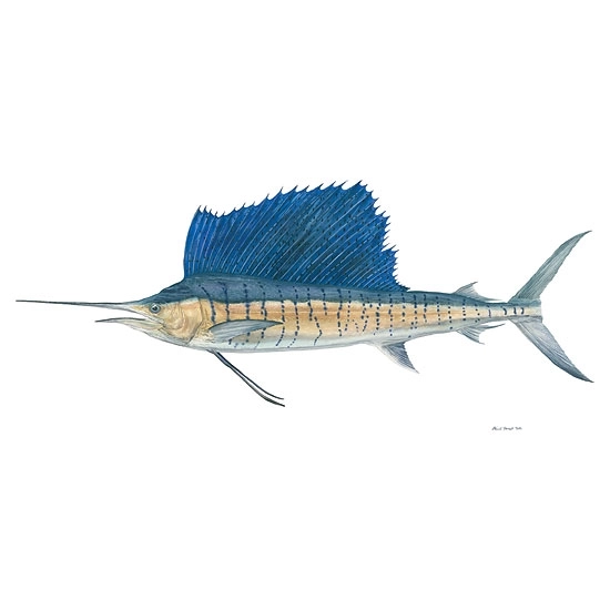 Flick Ford - Sailfish