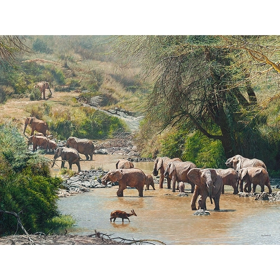 Guy Combes - Ancestral Oasis