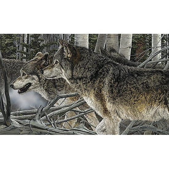 Judy Larson - KINSHIP Limited Edition