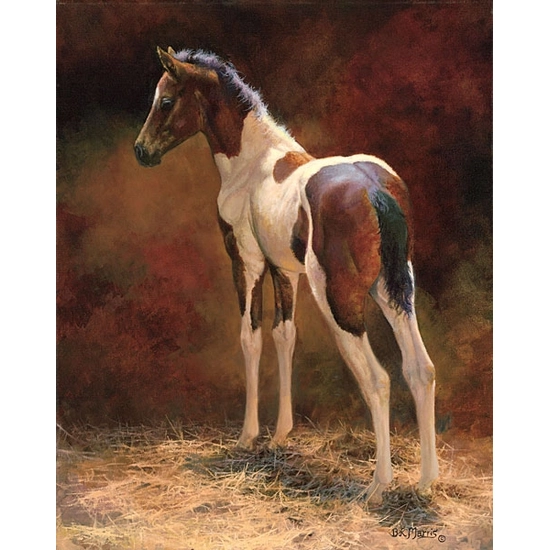 Bonnie Marris - Pawnee