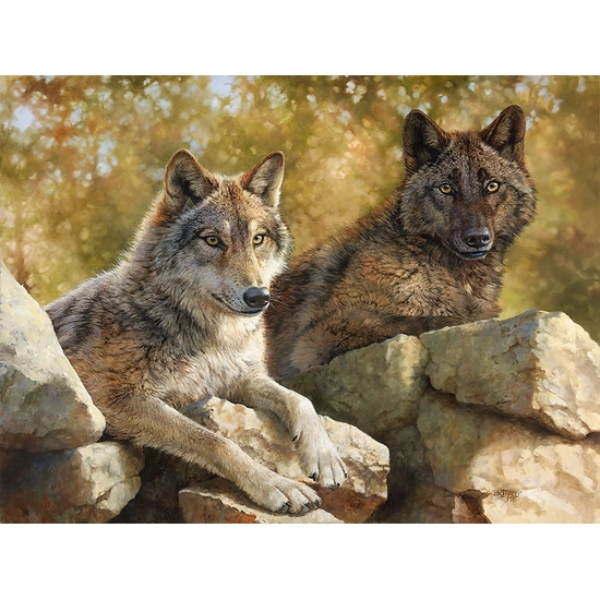 Bonnie Marris - Rocky Lookout