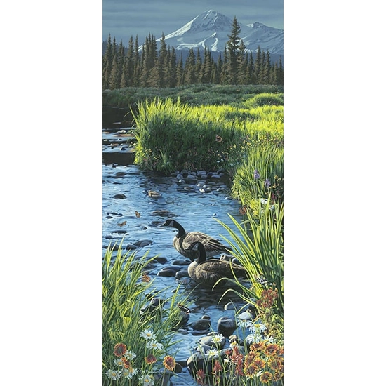 Rod Frederick - Summer Place