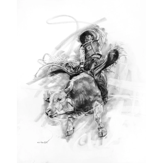 Robert Jackson - The Steer Graphite Pencil on Paper