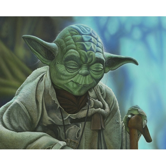 Damien Friesz - Yoda