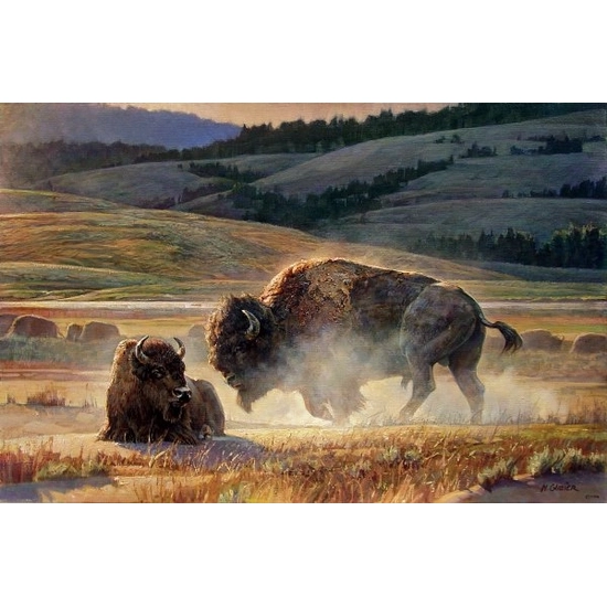 Nancy Glazier - Eye Of The Storm By Nancy Glazier Canvas  Artist Proof
