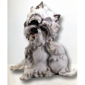 Giuseppe Armani-WESTIE