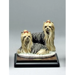 Giuseppe Armani-YORKIES