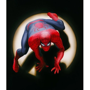 Alex Ross-Spider-Man, Marvels