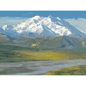 William Phillips-Denali Summer