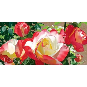 Brian Davis-Visions Of Love (platinum)