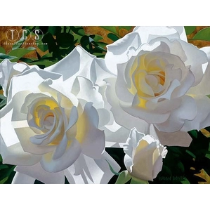 Brian Davis-White Radiant Roses