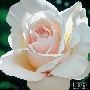 Brian Davis-French Lace Aglow