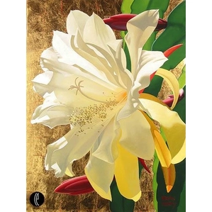 Brian Davis-Golden French Lace