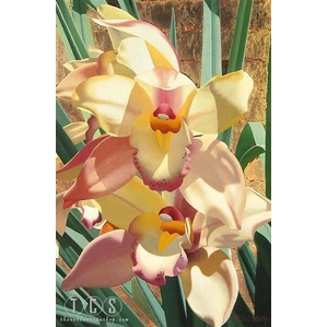 Brian Davis-Cymbidium Orchid On Gold Leaf