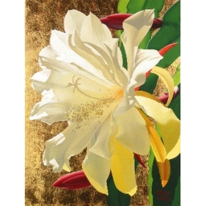 Brian Davis-Golden Epiphyllum