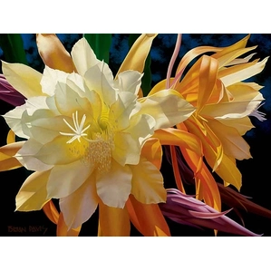 Brian Davis-Resplendent Queen