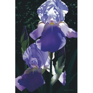 Brian Davis-Two Blue Irises