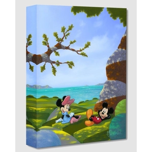 Michael Prozenza-Waves and Rays From Mickey And Minnie