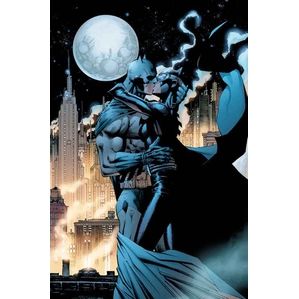 Jim Lee-Kissing the Knight