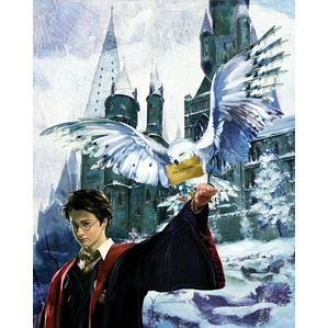Jim Salvati-Harry and Hedwig From Harry Potter