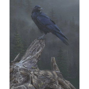 Daniel Smith-Raven´s Roost