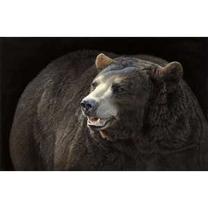 Daniel Smith-Black on Black Bear