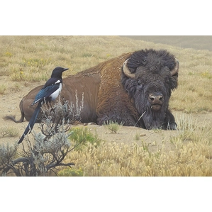 Daniel Smith-Prairie Home Companions