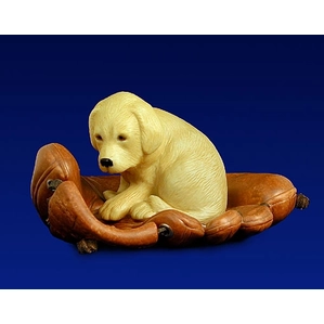 Will Bullas-Puppy Glove