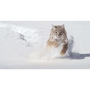 Daniel Smith-Snow Blower