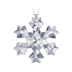 Swarovski Crystal-Annual 2010 Ornament