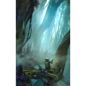 Stephan Martiniere-There Is No Try From Star Wars