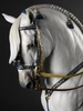 Lladro - Spanish pure breed