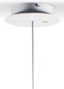 Lladro Lighting - Belle de Nuit Ceiling Lamp with Lithophane Black