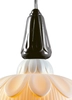 Lladro Lighting - Ivy and Seed Single Ceiling Lamp Absolute Black
