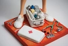 Guillermo Forchino - The Nurse / L'Infirmiere 1/2 Scale