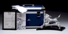 Swarovski Crystal - Limited Edition Bull